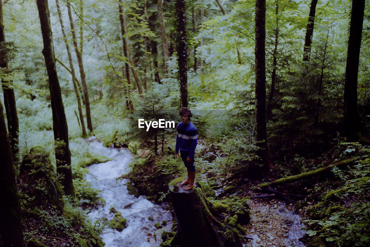 Man standing on tree stump by stream in forest