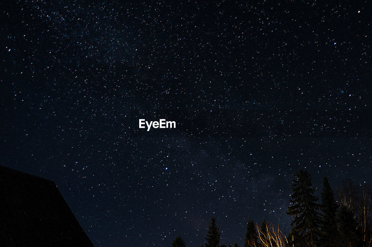 Low angle view of silhouette trees against sky at night