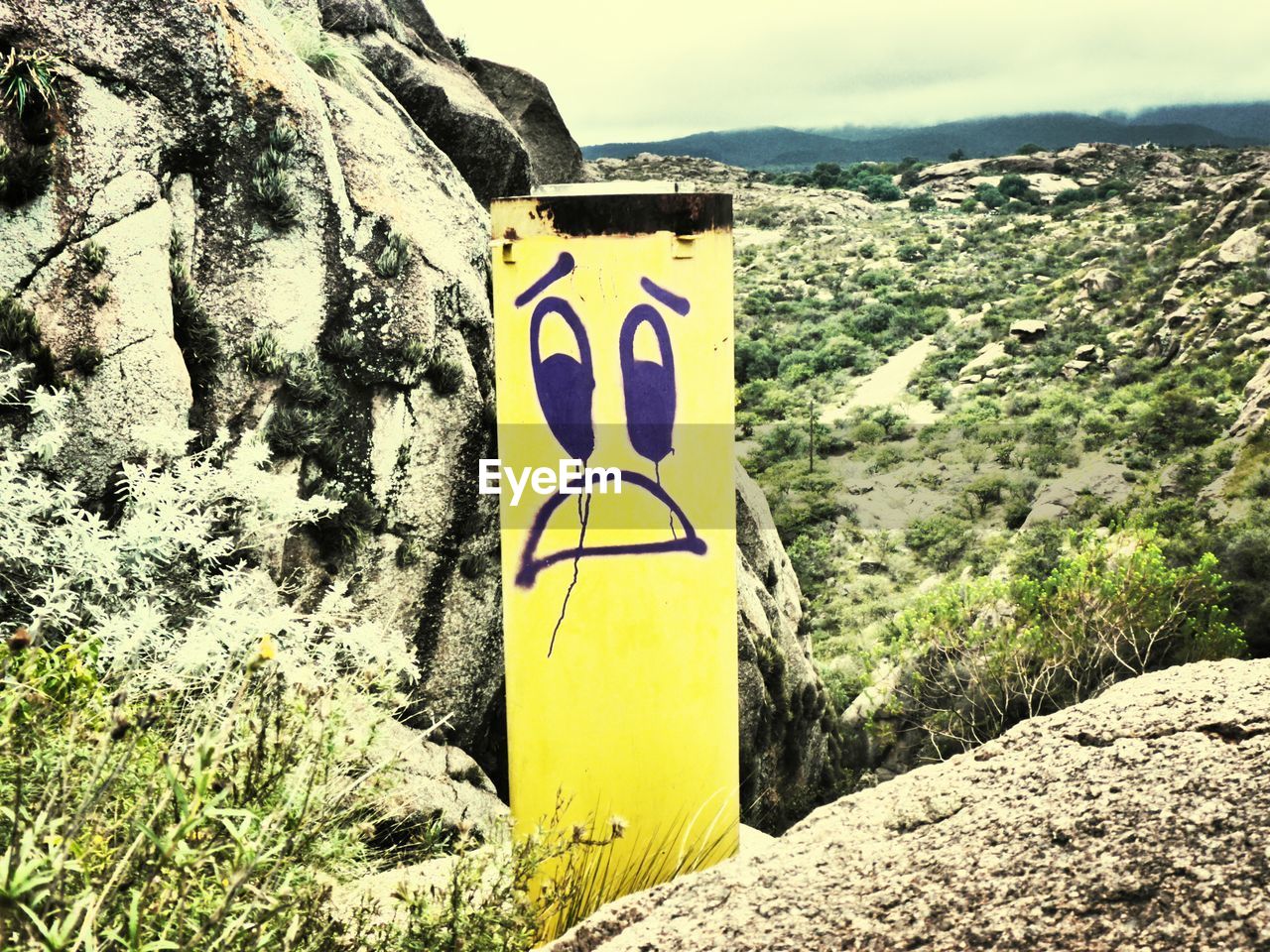 Face painted on pole in mountains