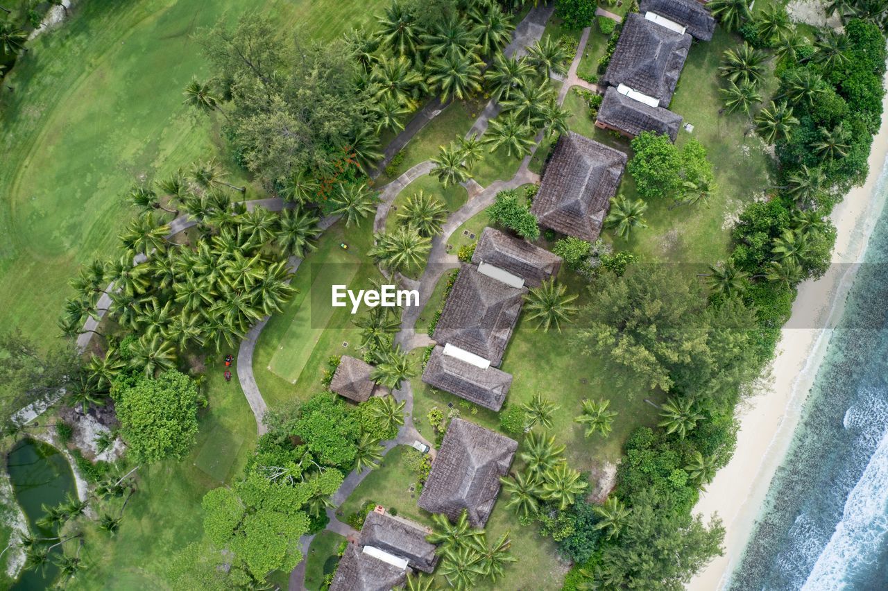 Drone field of view of chalets hidden among forest and beach in praslin, seychelles.