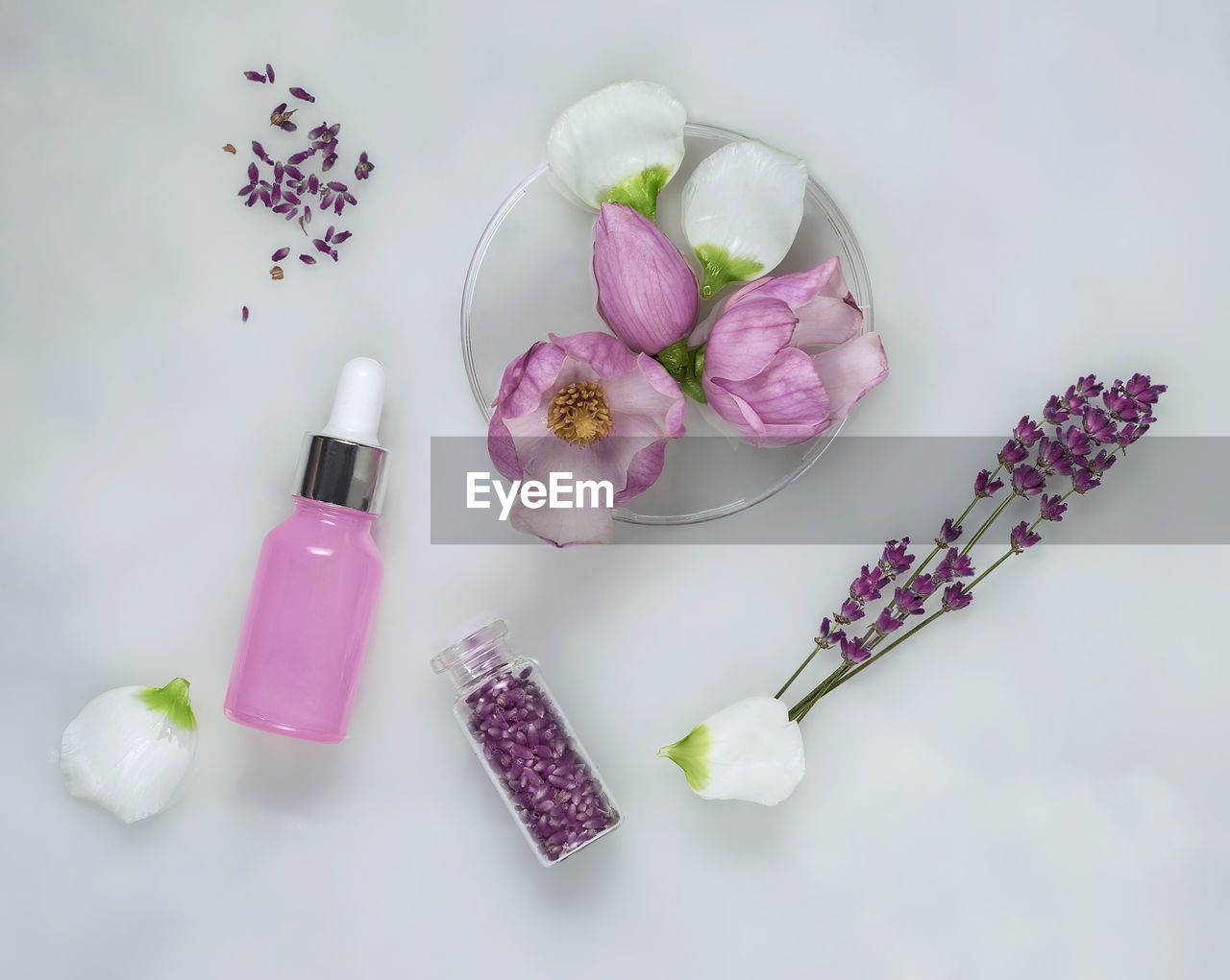 Cosmetic skincare background. herbal medicine with with green leaves and petals