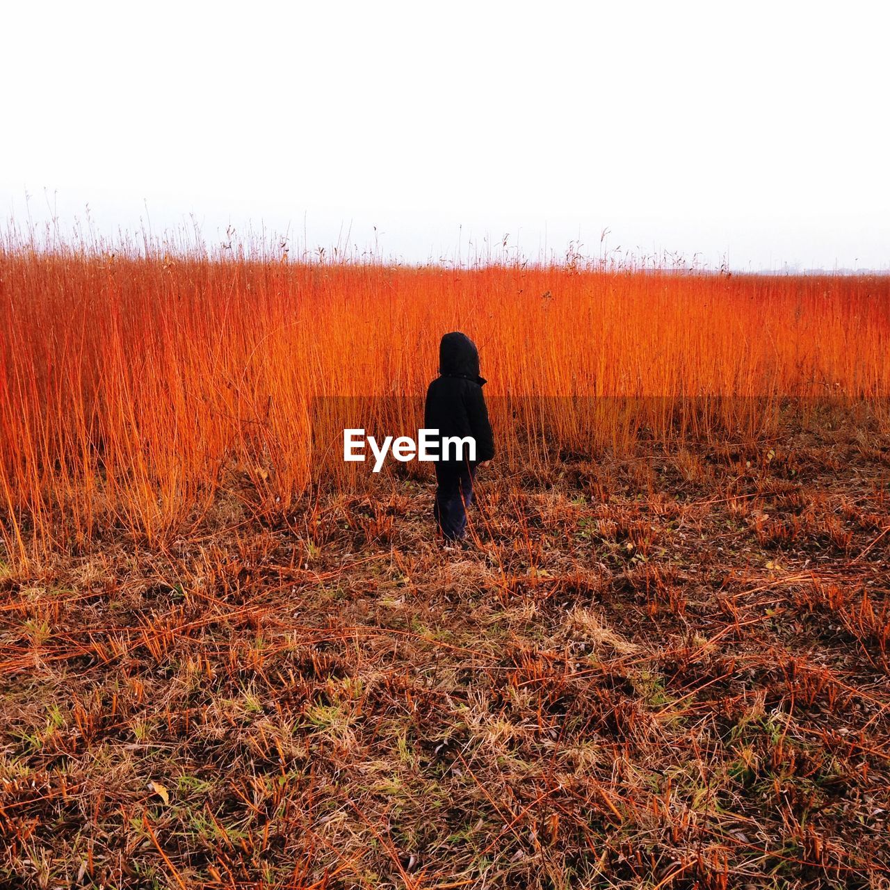 Rear view of kid standing in field