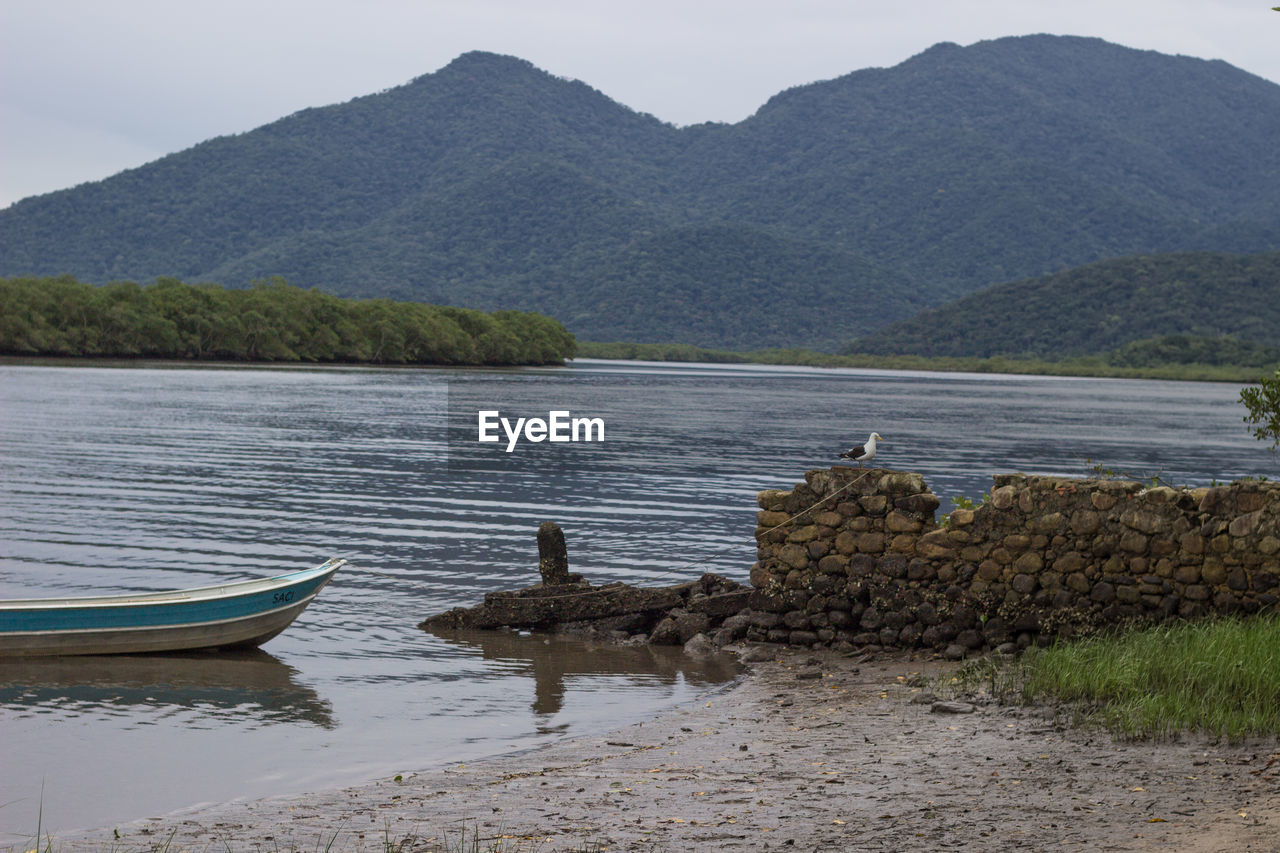 Seagull on stone wall by boat on lake against mountain with trees