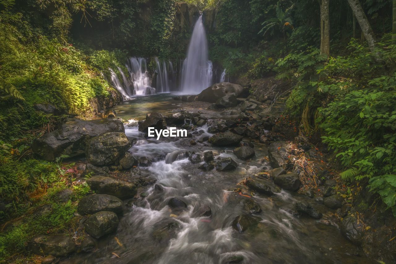 Scenic view of waterfall at forest