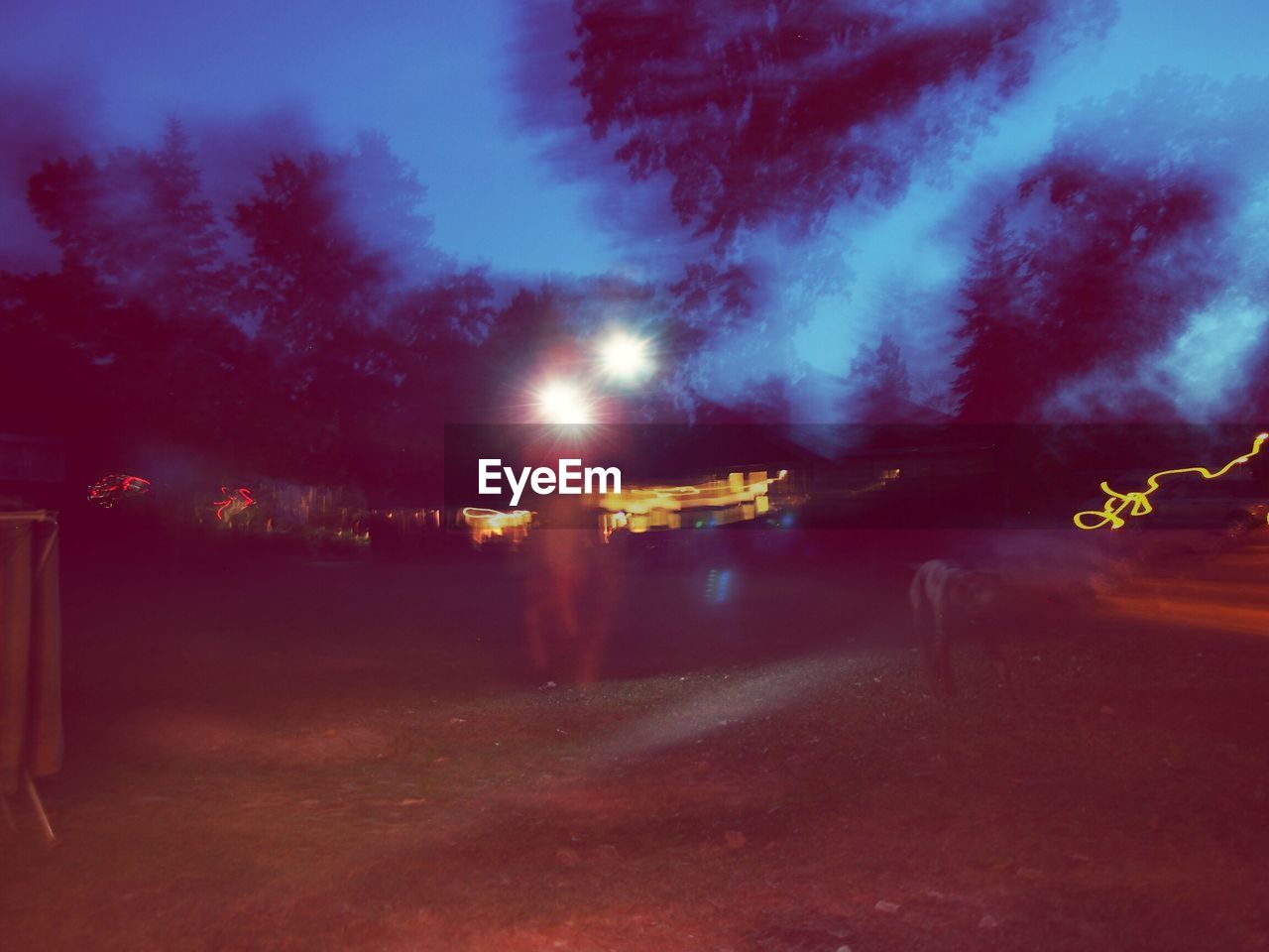 TREES AGAINST SKY AT NIGHT