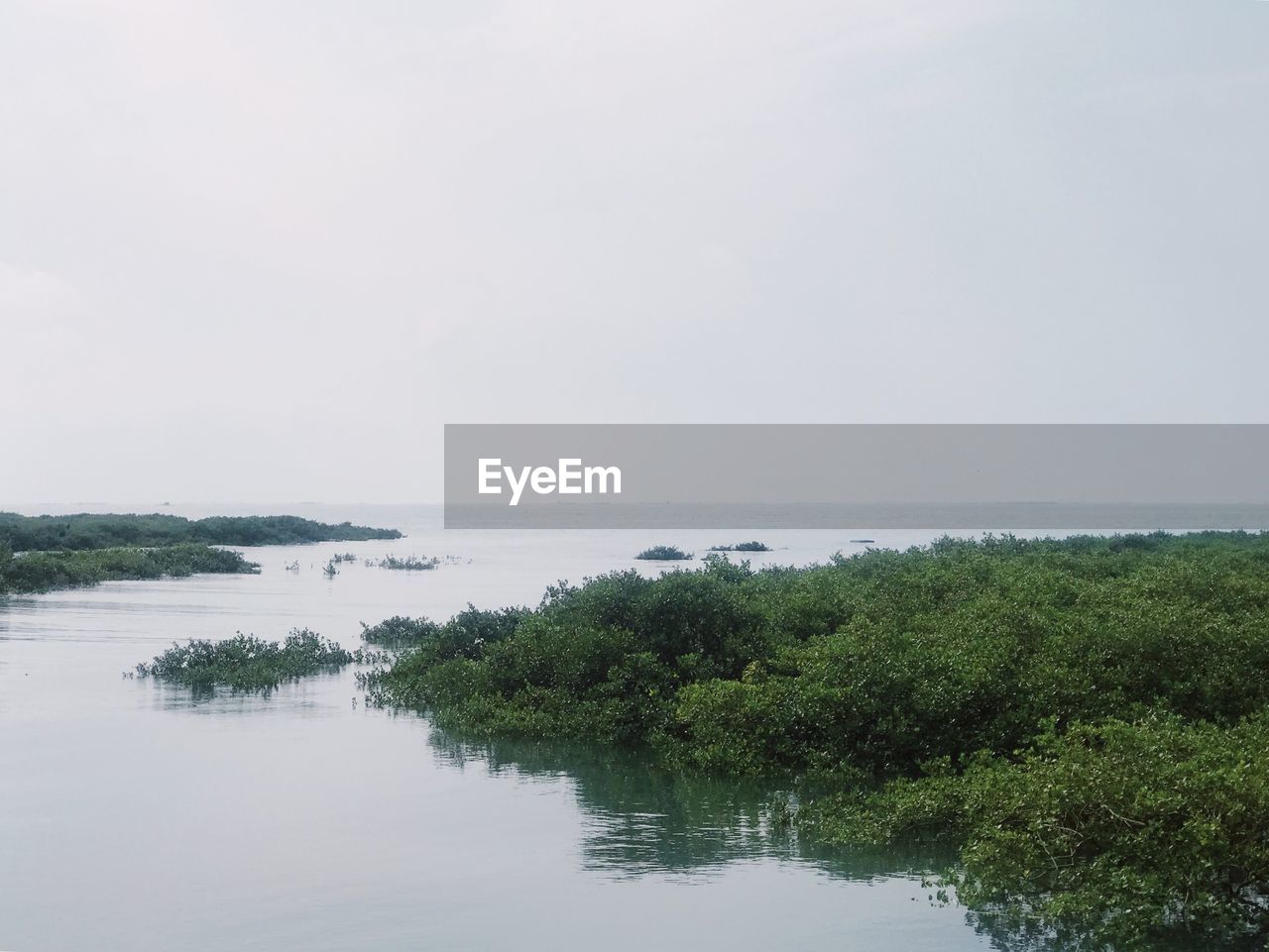 SCENIC VIEW OF SEA AND TREES AGAINST SKY