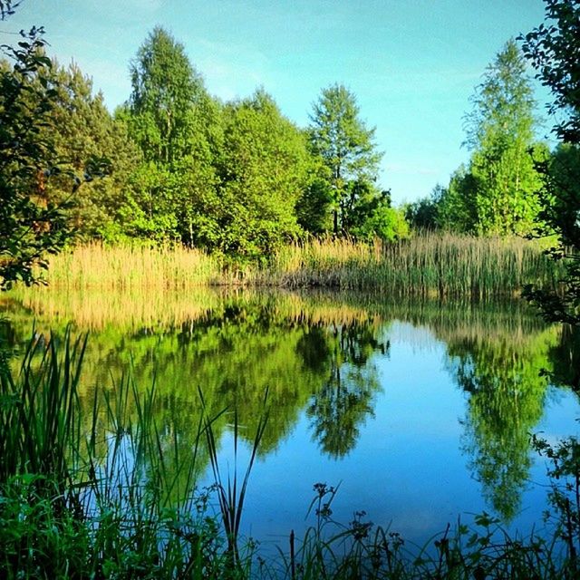 SCENIC VIEW OF LAKE AGAINST SKY