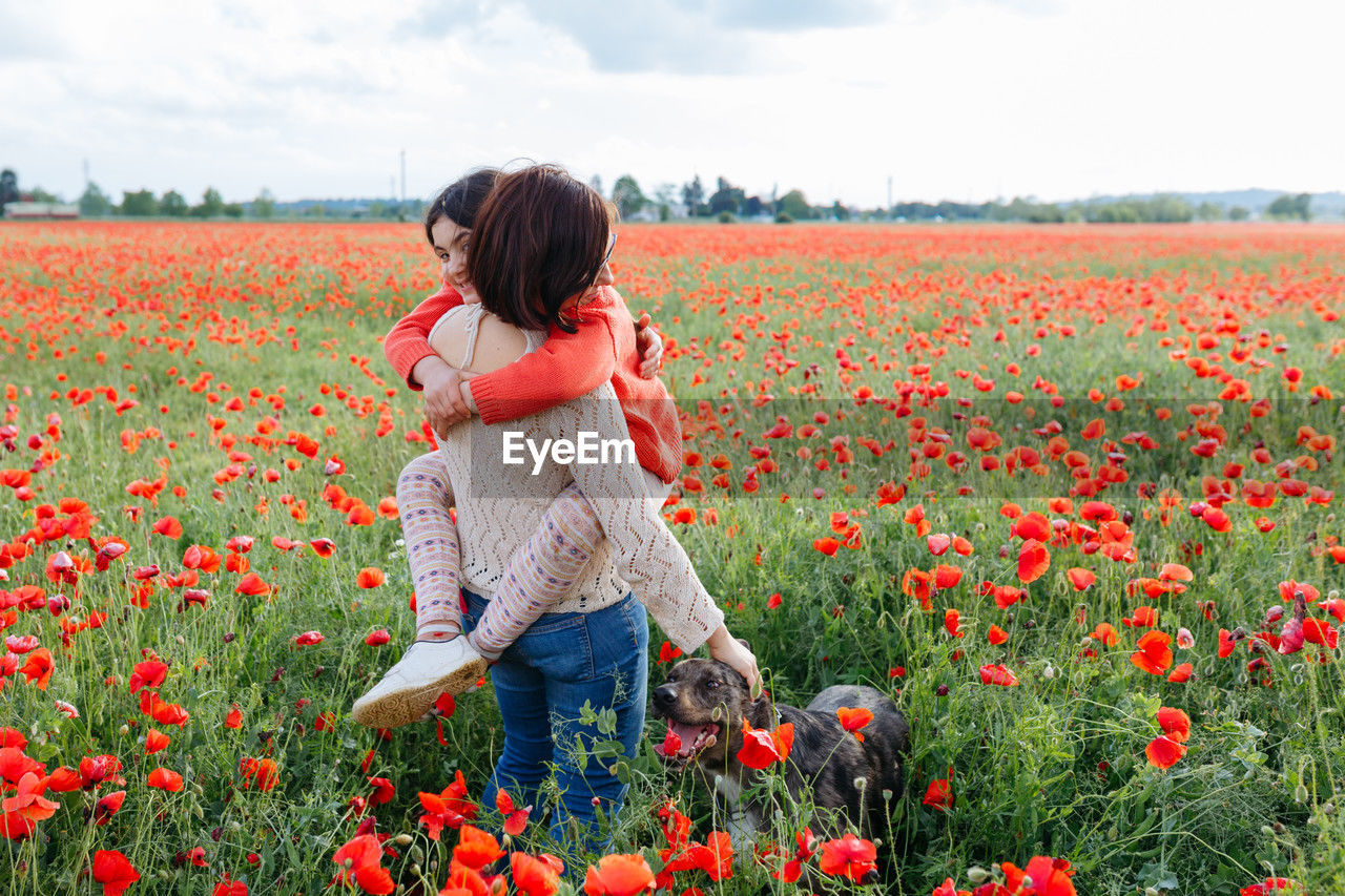 Standing in the field of poppies mother holding a daughter in arms with the dog next to them