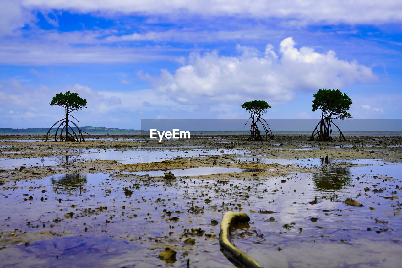 SCENIC VIEW OF BEACH AGAINST SKY DURING WINTER