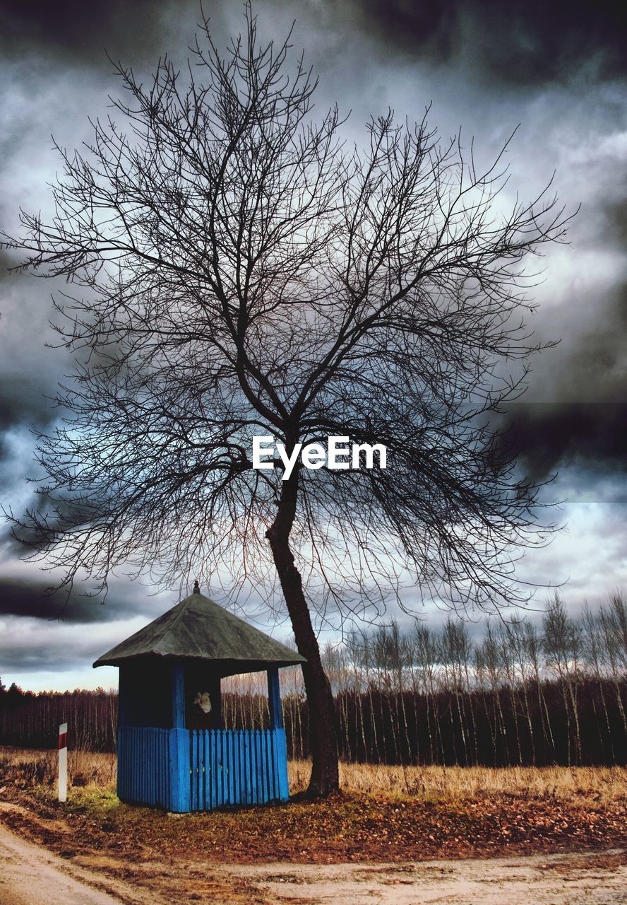 TREES ON FIELD AGAINST CLOUDY SKY