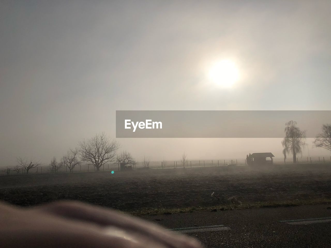 SCENIC VIEW OF FIELD AGAINST SKY DURING FOGGY WEATHER
