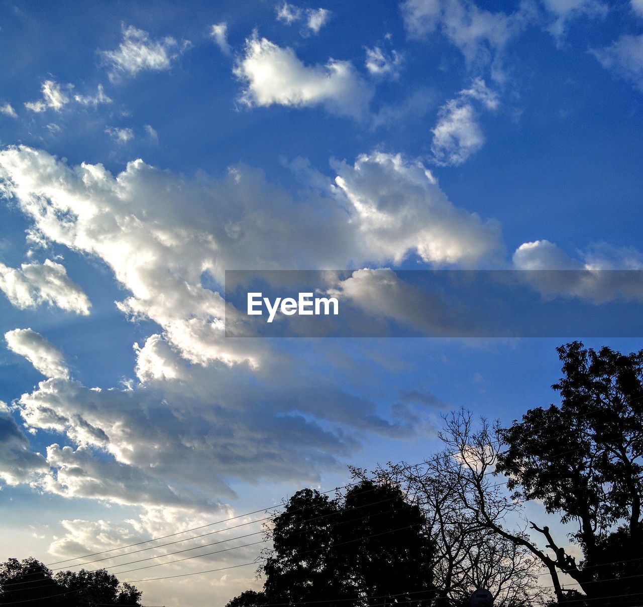 LOW ANGLE VIEW OF SILHOUETTE TREES AGAINST SKY DURING SUNSET