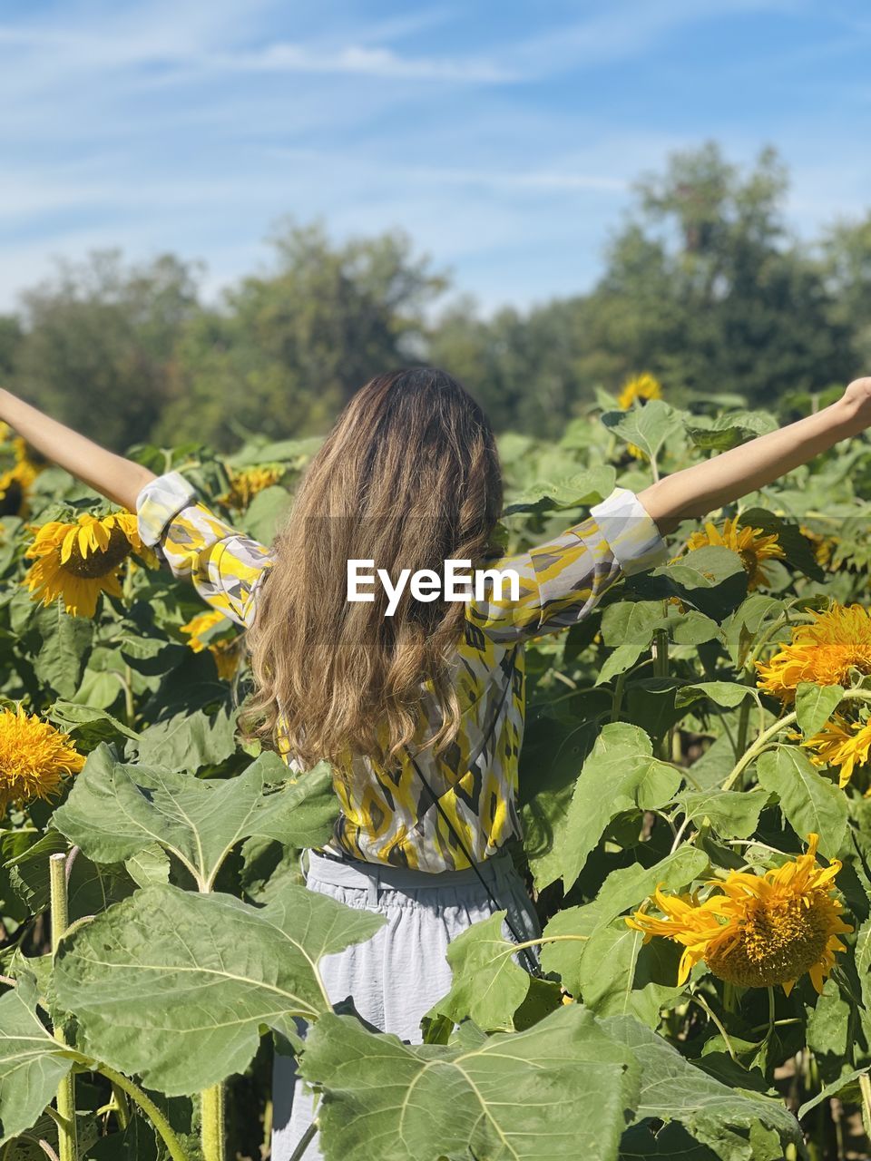 FULL LENGTH OF WOMAN WITH SUNFLOWER AGAINST PLANTS