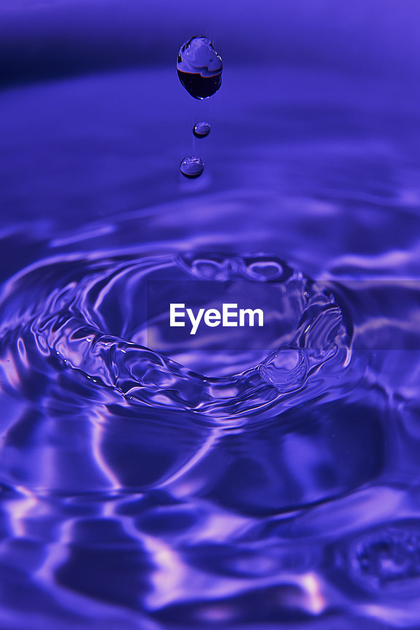 water, rippled, drop, splashing, motion, falling, blue, petal, nature, no people, close-up, freshness, splashing droplet, azure, backgrounds, purple, concentric, cobalt blue, purity, reflection, impact, full frame, wet, simplicity, circle, food and drink, geometric shape, macro, water surface, outdoors, selective focus, wave pattern, macro photography, wave, surface, refreshment, studio shot, shape