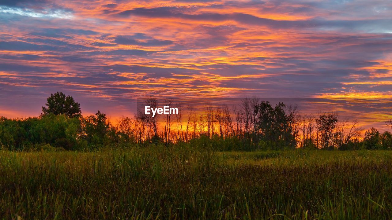 Scenic view of field against sky during sunset