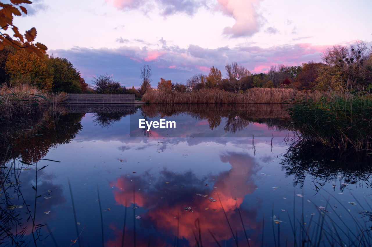 REFLECTION OF TREES IN LAKE AGAINST SKY DURING SUNSET