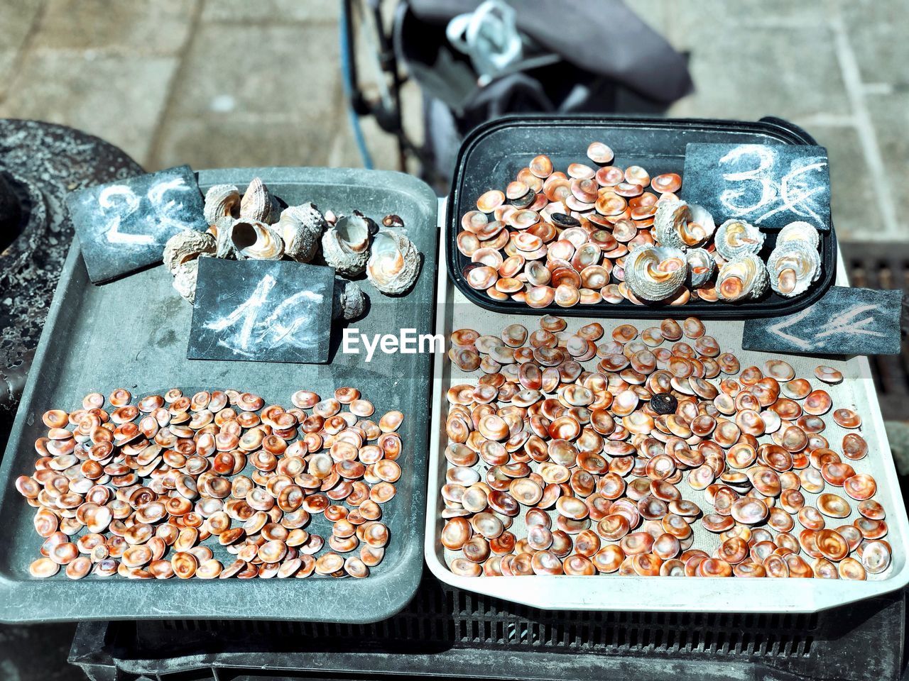 High angle view of various sea shells on table for sale are the market in marseille 