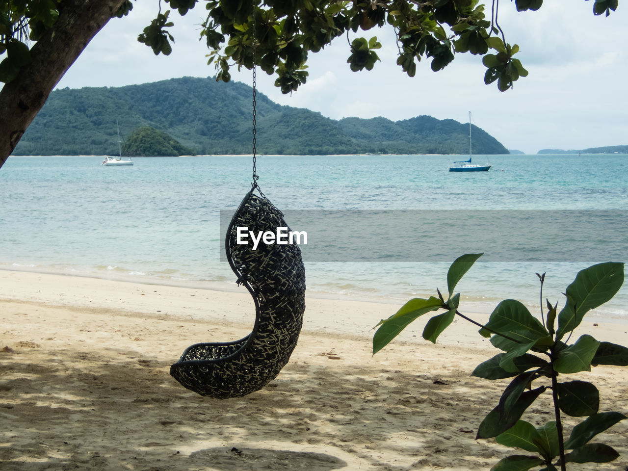 CLOSE-UP OF SNAKE ON SEA SHORE