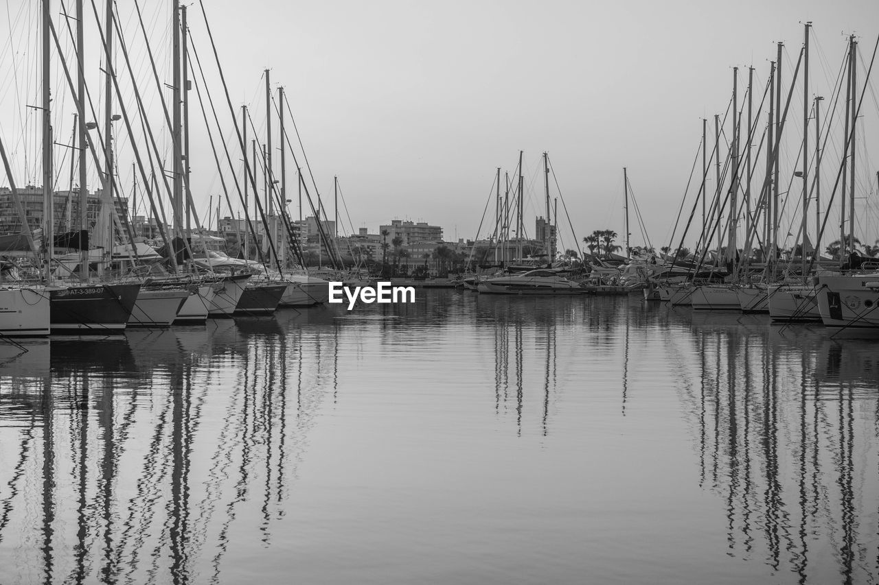 Sailboats in marina