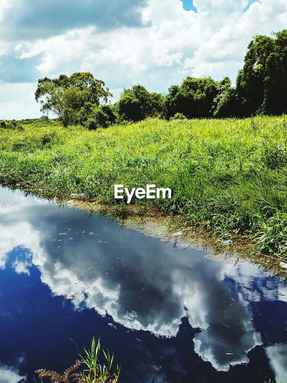 SCENIC VIEW OF TREES AND LAKE AGAINST SKY