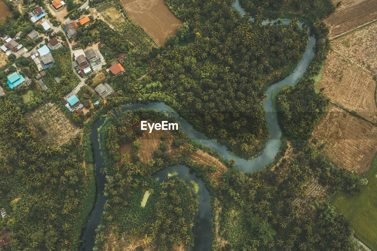 Aerial view of river by trees and buildings