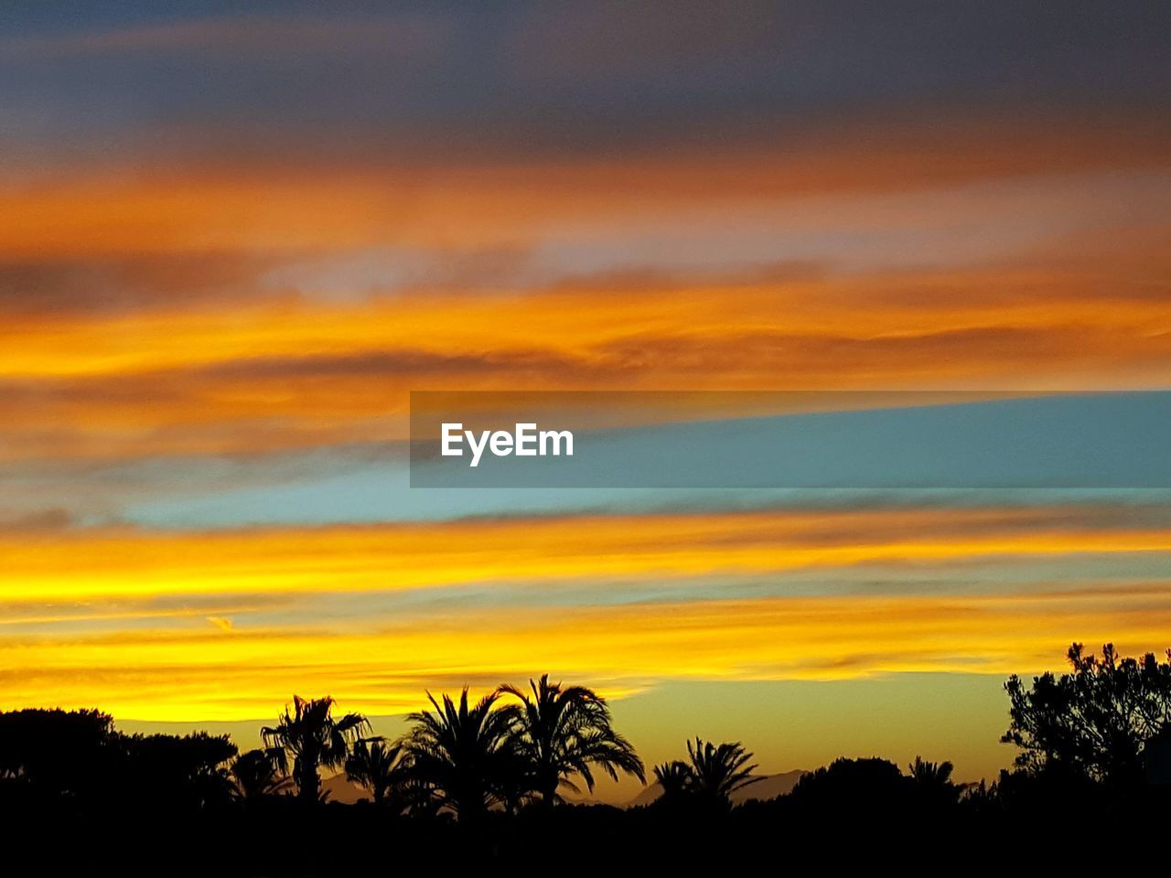 SCENIC VIEW OF SILHOUETTE TREES AGAINST DRAMATIC SKY