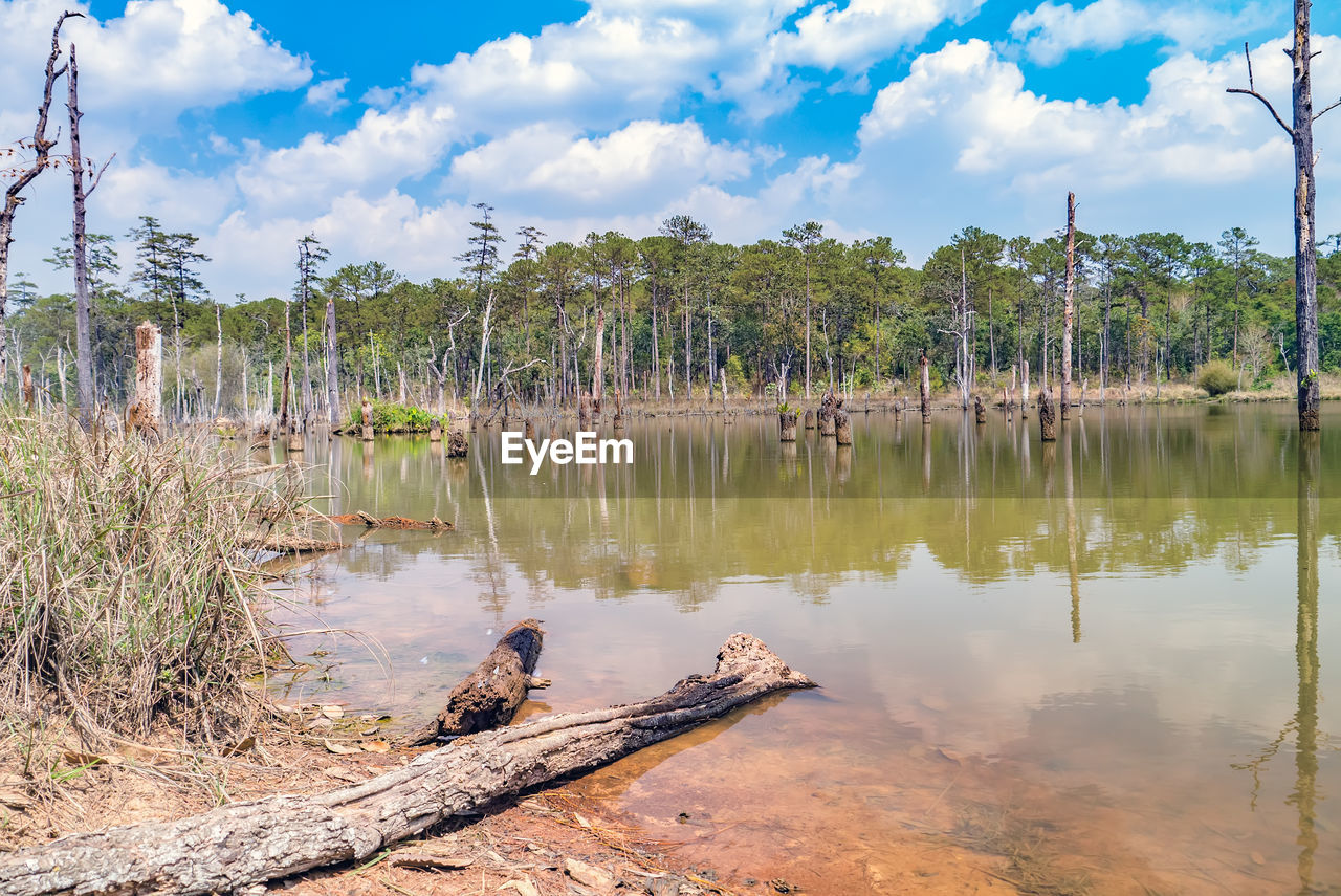 VIEW OF BIRDS IN LAKE AGAINST SKY