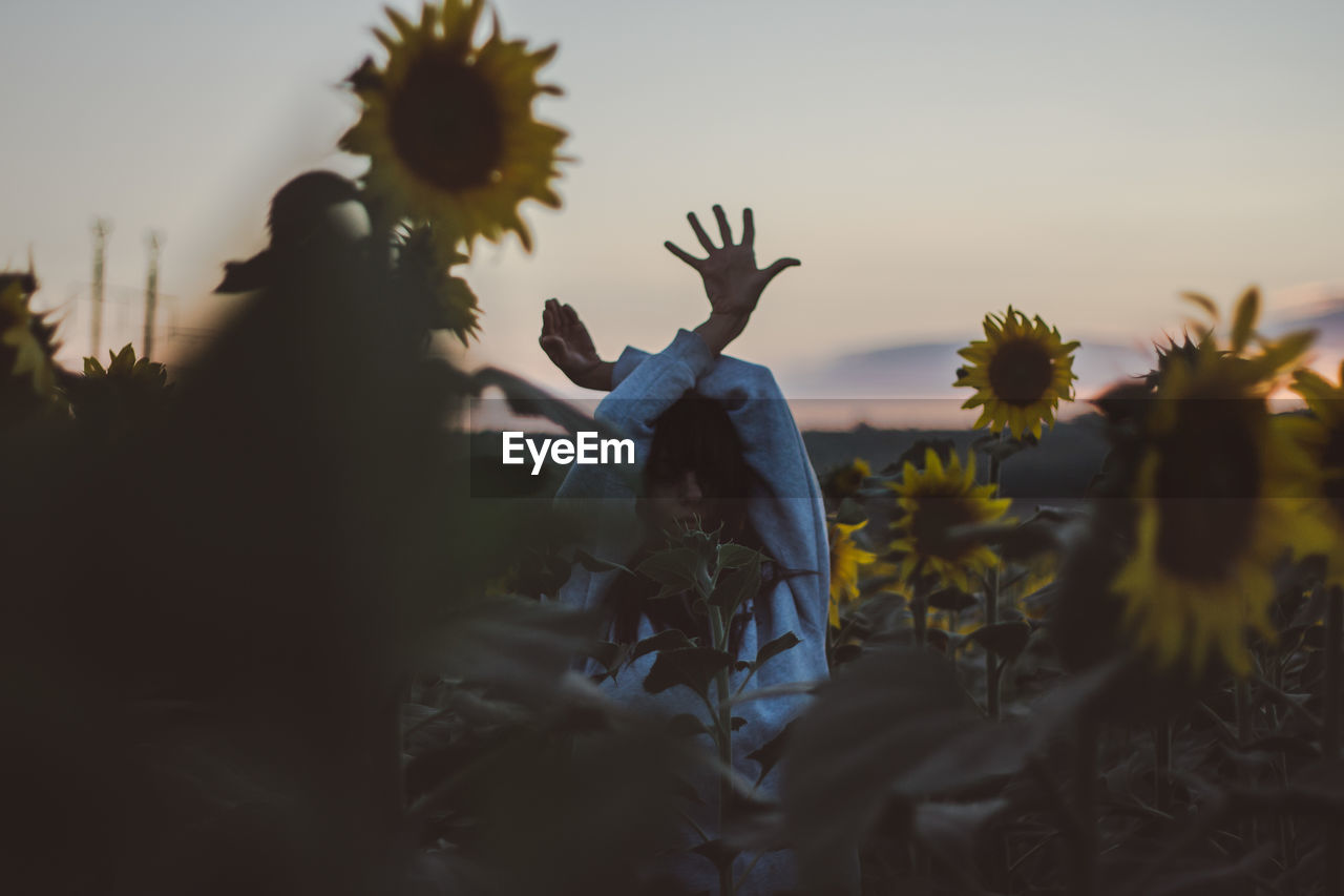 Woman with arms raised amidst blooming sunflowers during sunset