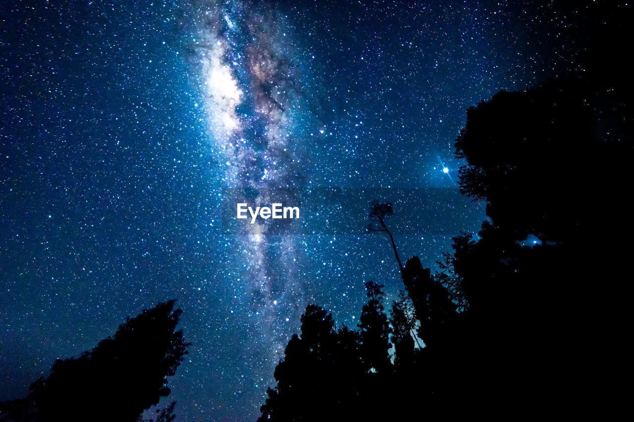 Low angle view of silhouette trees against sky at night