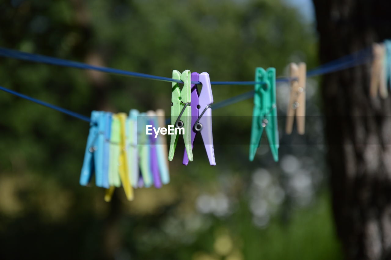 hanging, clothesline, clothespin, laundry, drying, clothing, rope, chores, green, housework, focus on foreground, group of objects, no people, textile, tree, nature, day, blue, multi colored, washing, in a row, outdoors, leaf, plant, string, domestic life, cleaning, close-up, hygiene, coathanger, spring, light, variation, medium group of objects