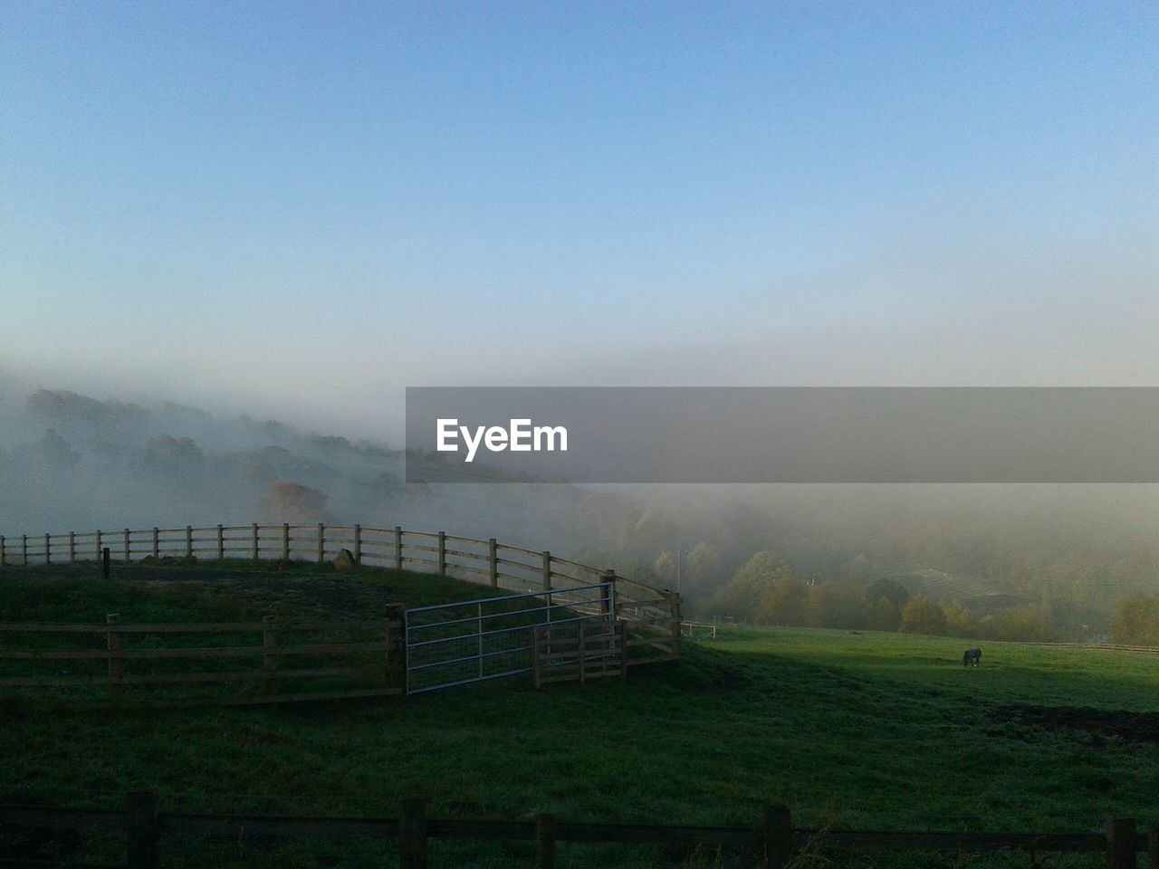 Animal pen on grassy field during foggy weather