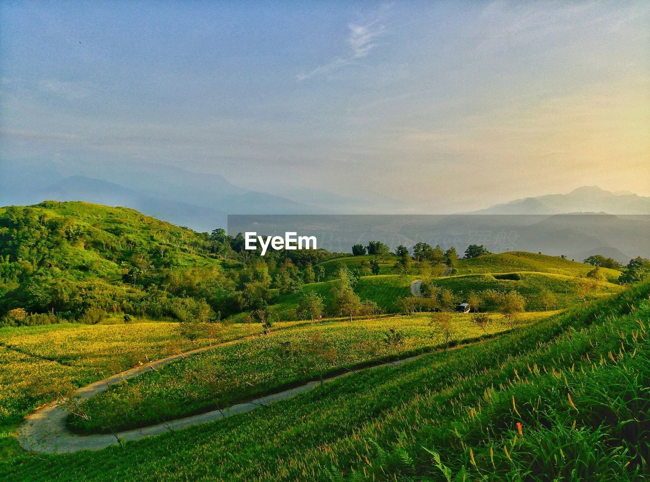 Scenic view of landscape against sky