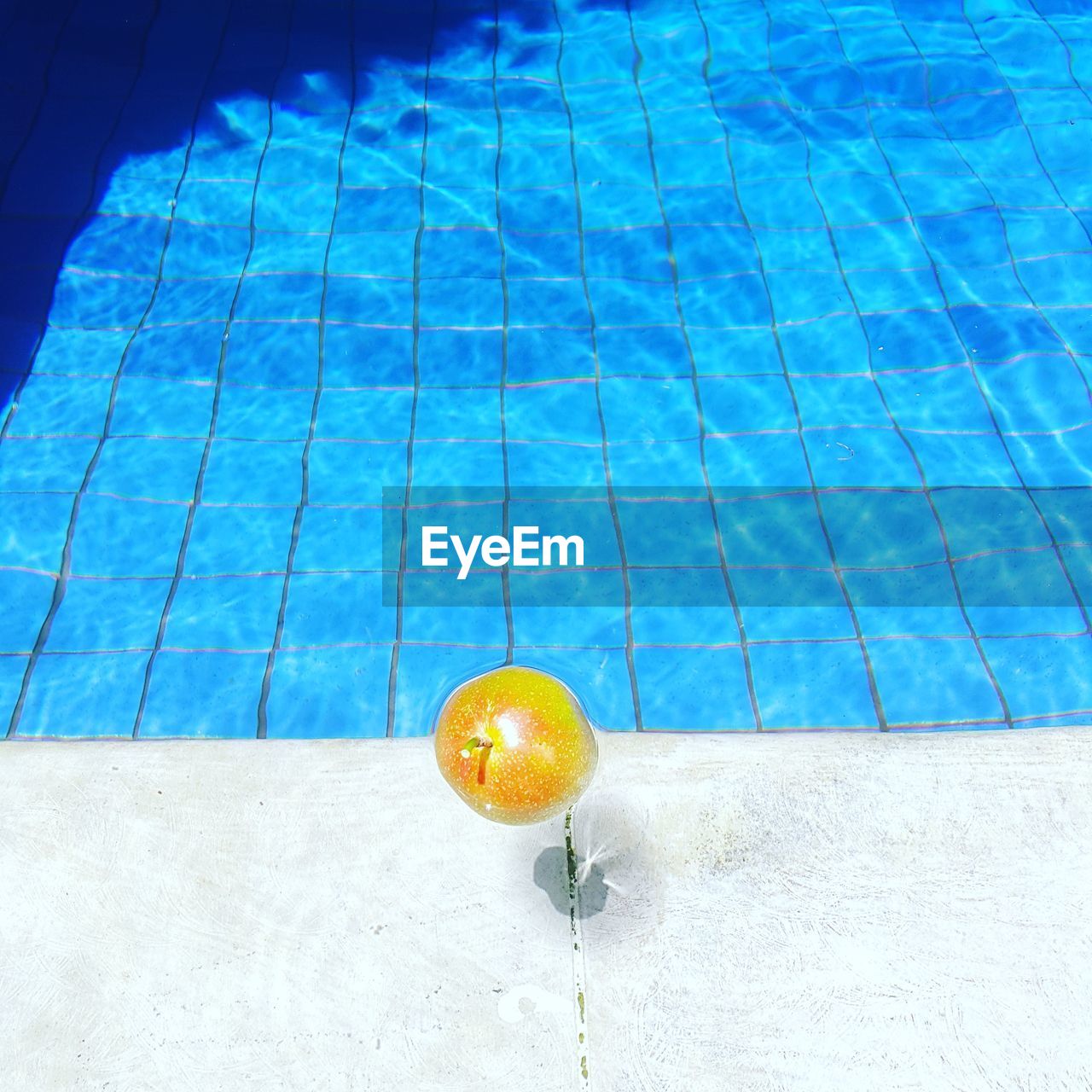 High angle view of fruit floating in swimming pool