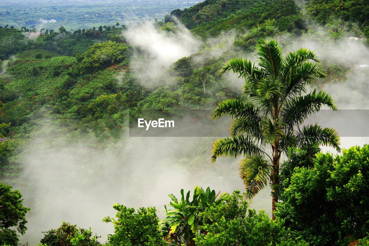 SCENIC VIEW OF WATERFALL IN FOGGY WEATHER