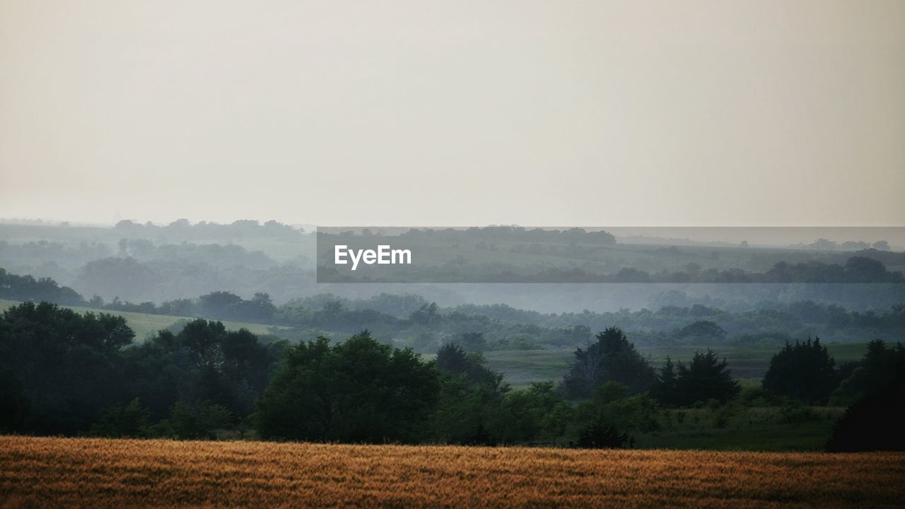 Trees on countryside landscape against clear sky