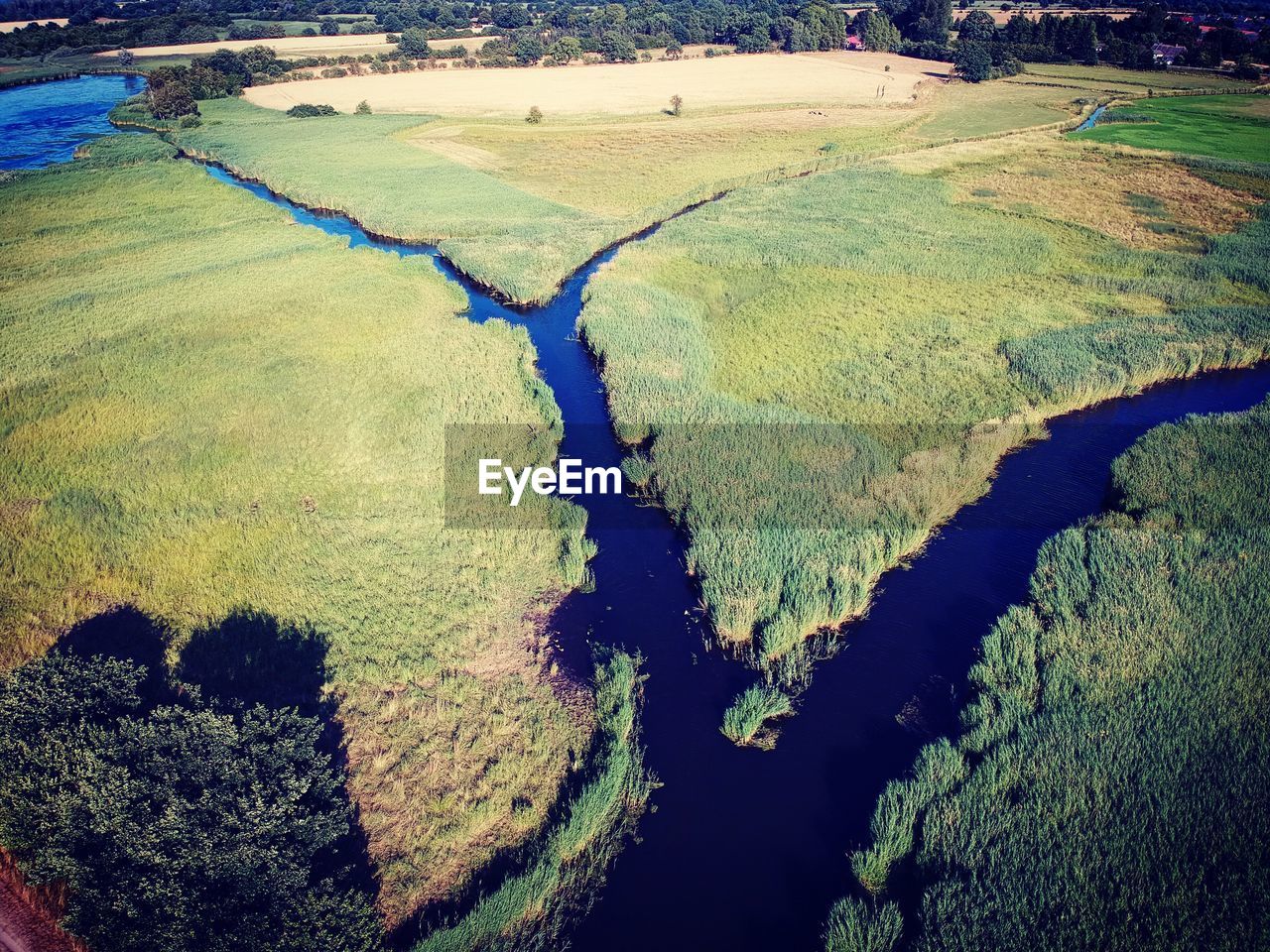 HIGH ANGLE VIEW OF LAND AND PLANTS ON SHORE