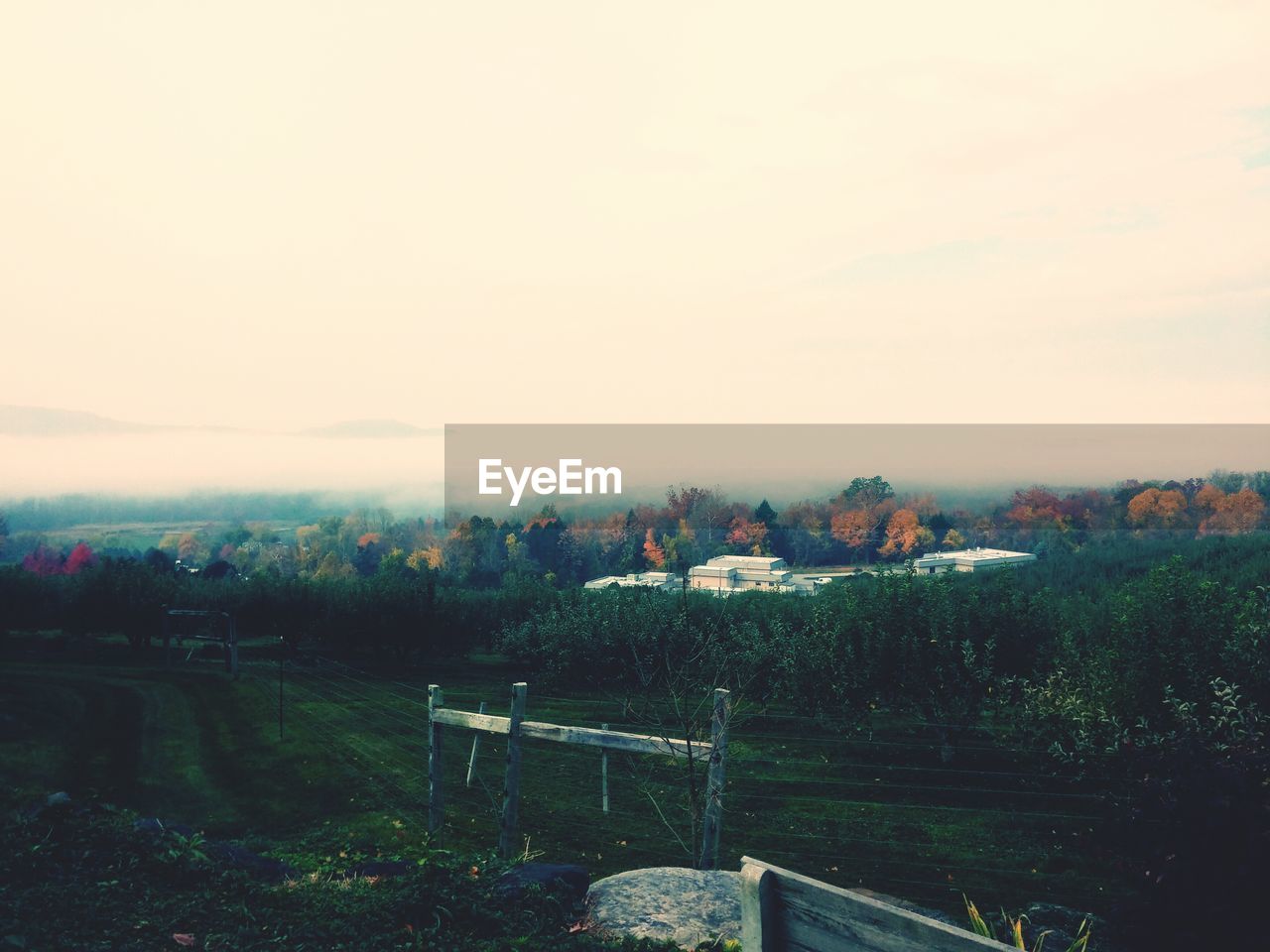 Scenic view of landscape against clear sky