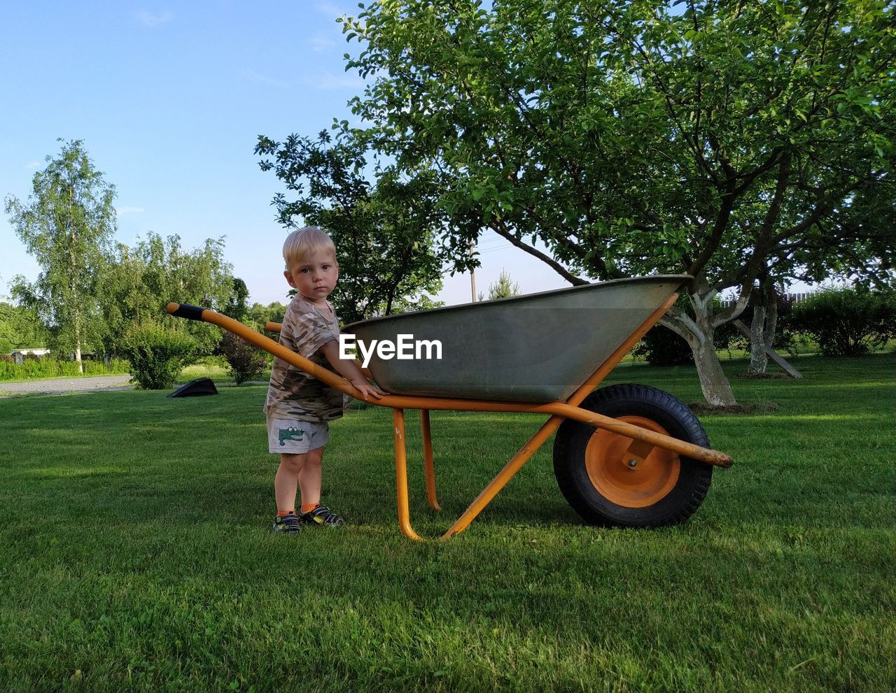 Little boy in a summer garden with a large wheelbarrow for cleaning mowed grass