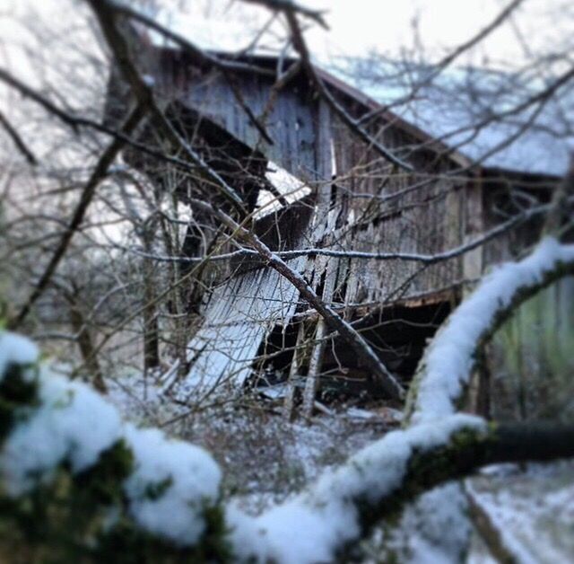 OLD BUILDING WITH TREE IN BACKGROUND