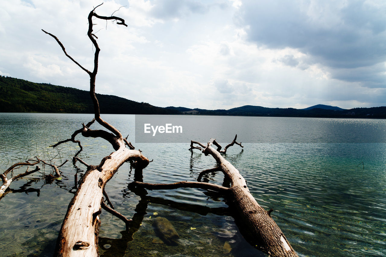 SCENIC VIEW OF LAKE BY TREE AGAINST SKY