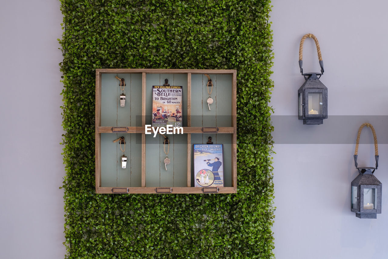 INFORMATION SIGN HANGING ON WALL BY PLANTS