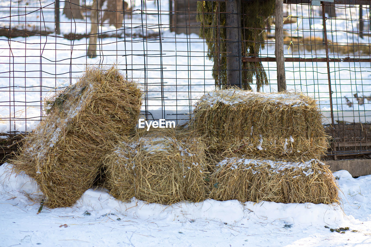 Square bales of meadow hay on the farm for feeding farm animals lie on the snow