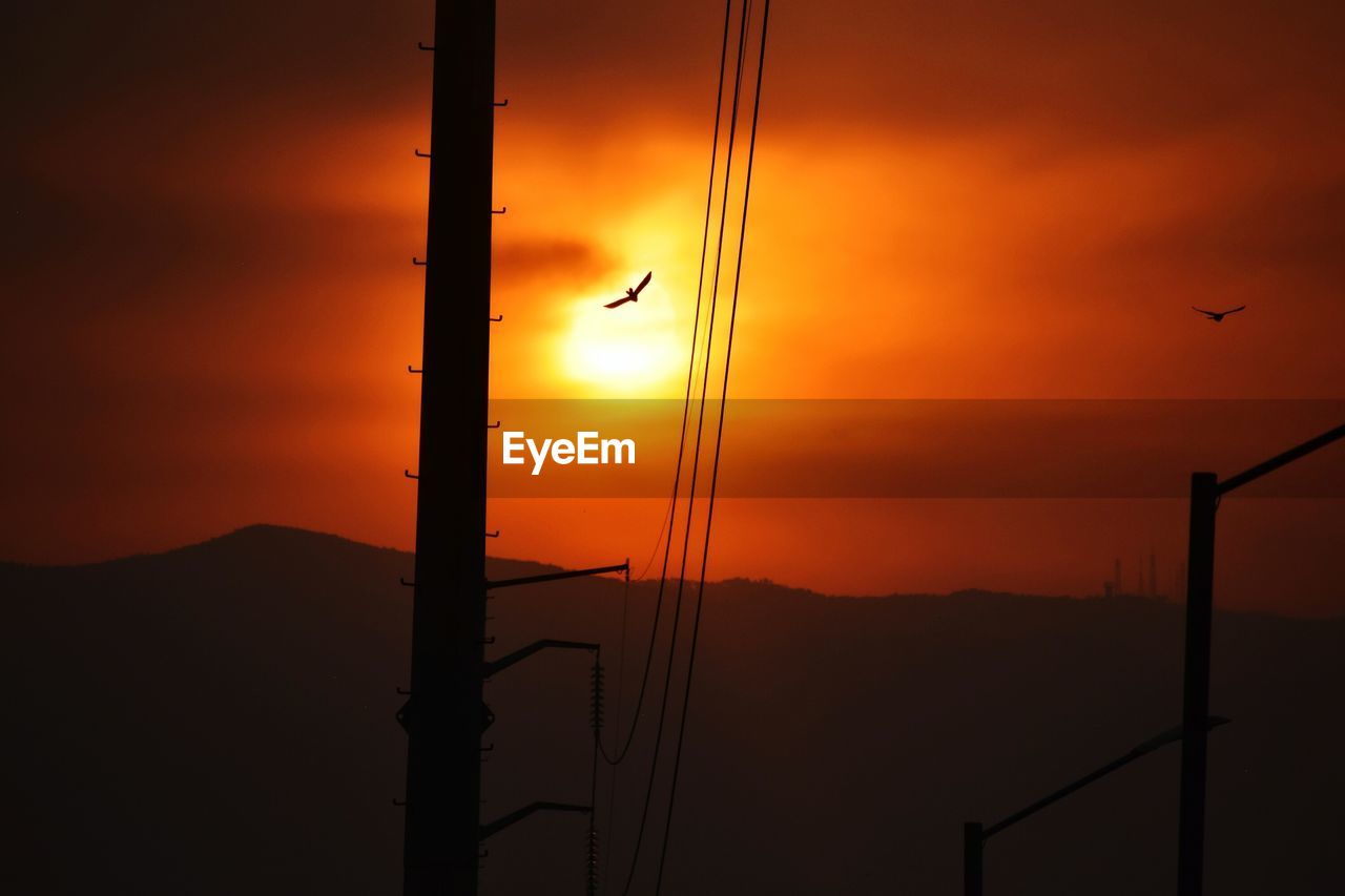 Silhouette bird flying against orange sky