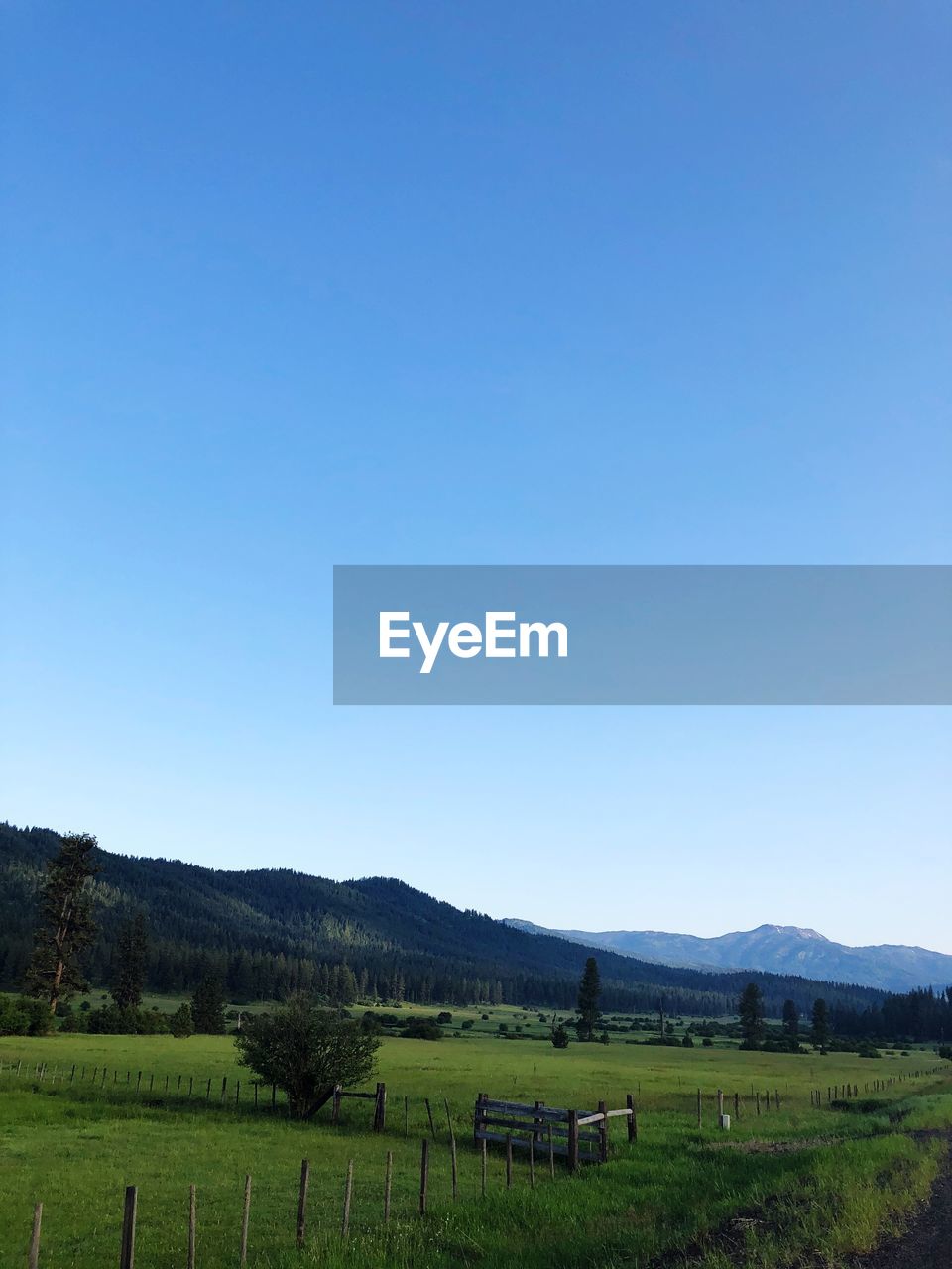 SCENIC VIEW OF AGRICULTURAL LANDSCAPE AGAINST CLEAR BLUE SKY