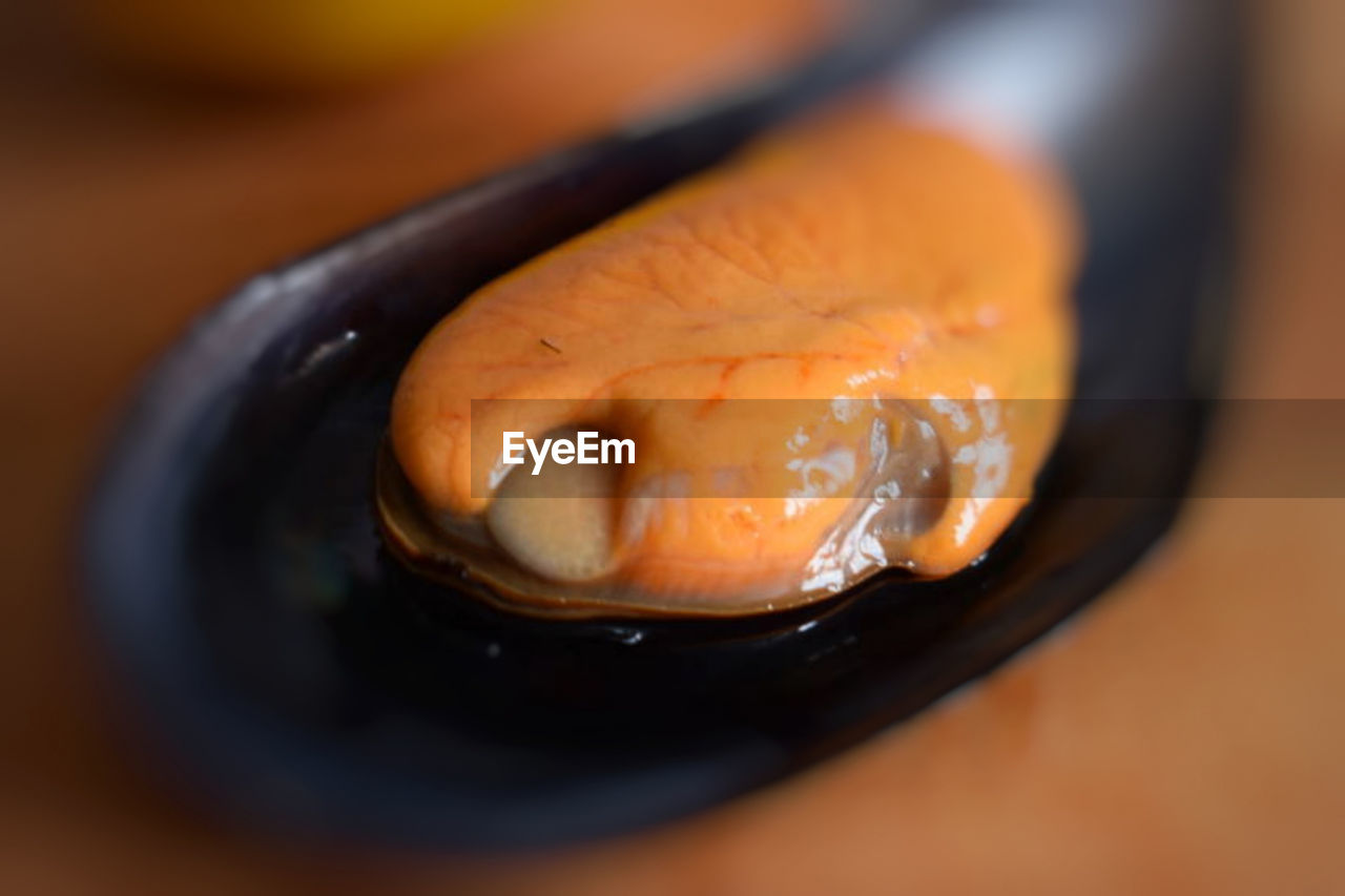 HIGH ANGLE VIEW OF ICE CREAM IN PLATE