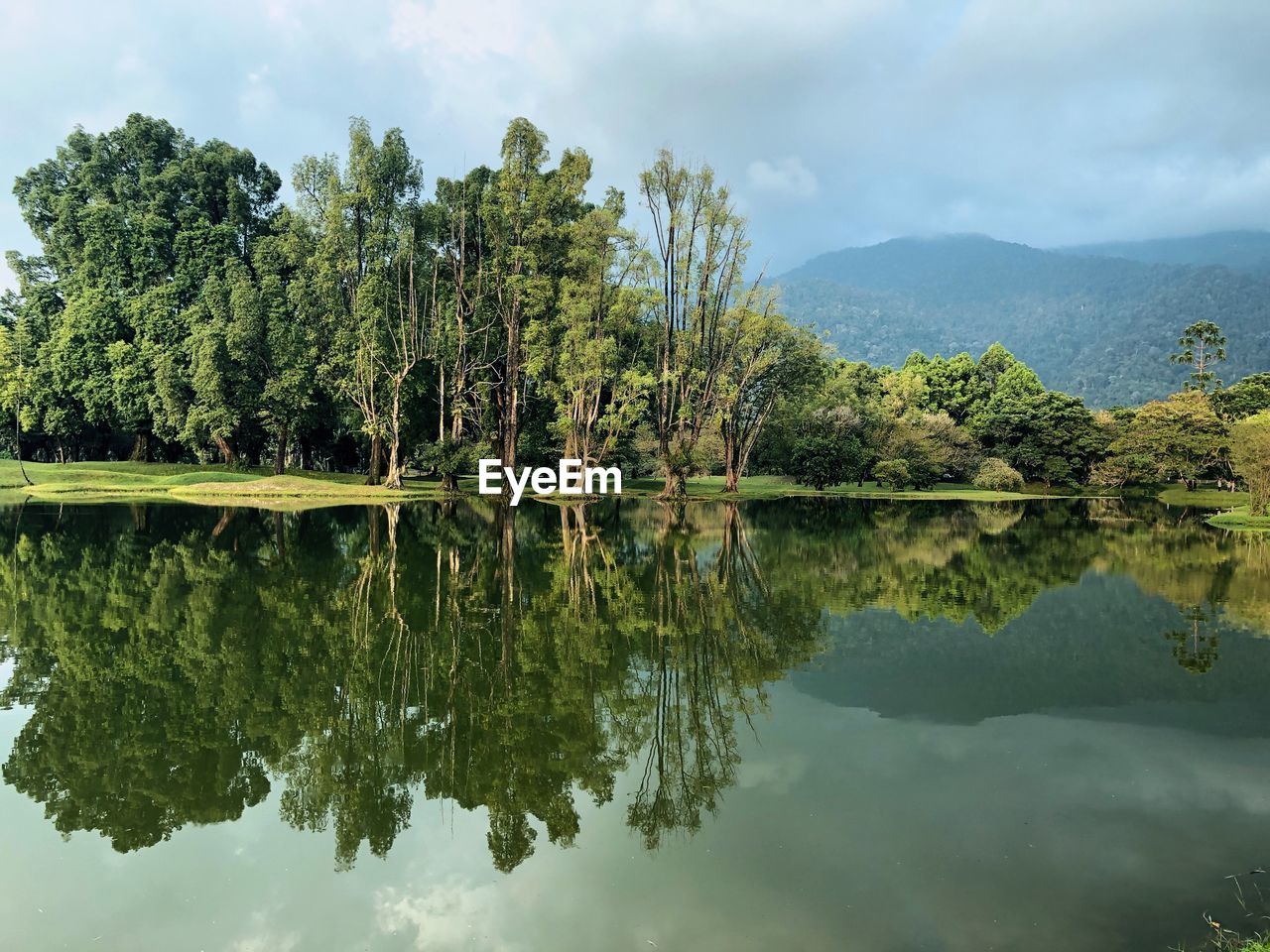 Reflection of trees in lake against sky