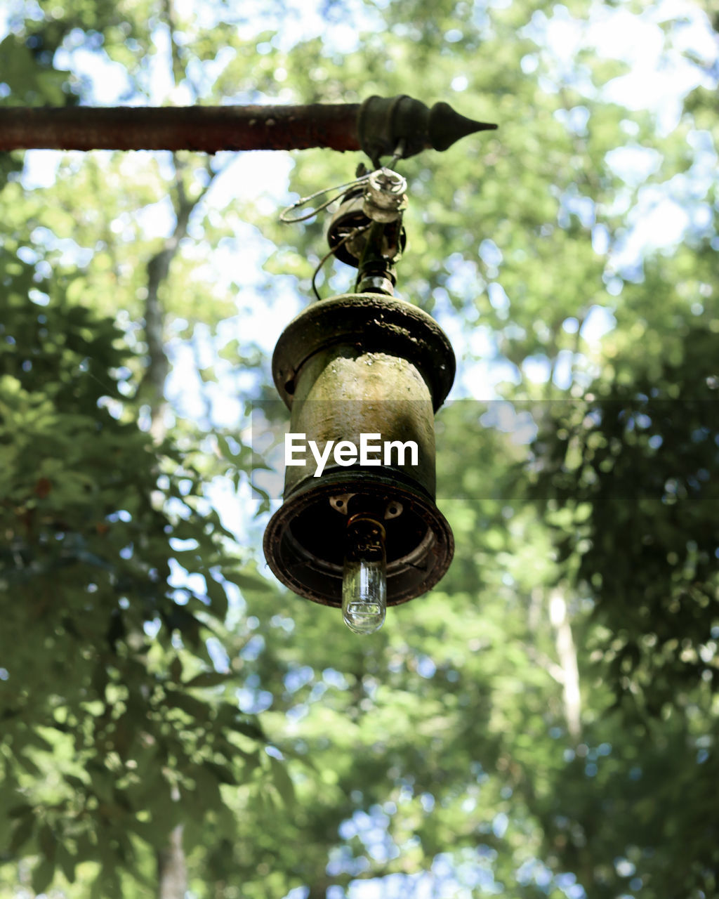LOW ANGLE VIEW OF OLD ELECTRIC HANGING FROM TREE