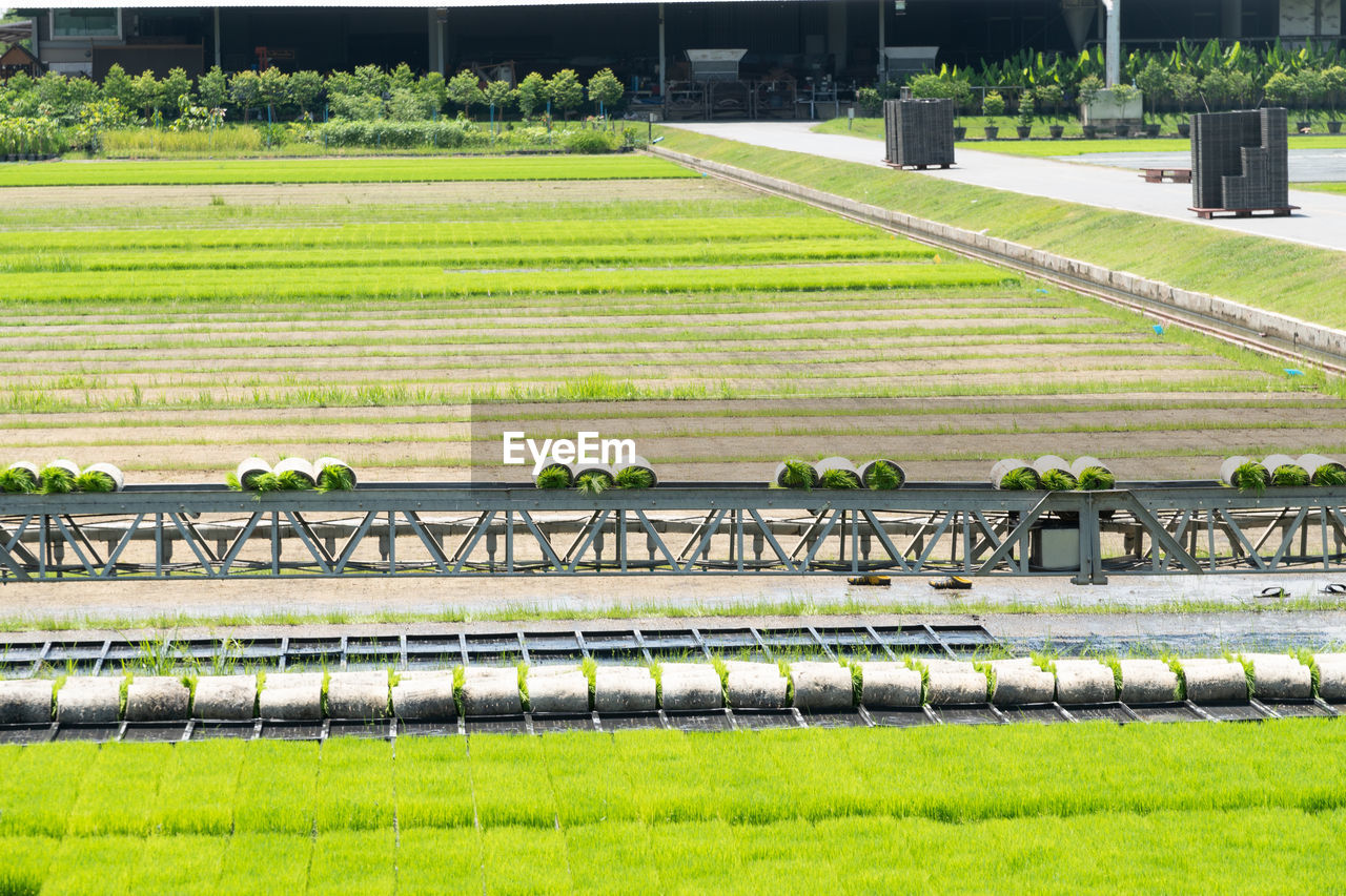 SCENIC VIEW OF FARM FIELD