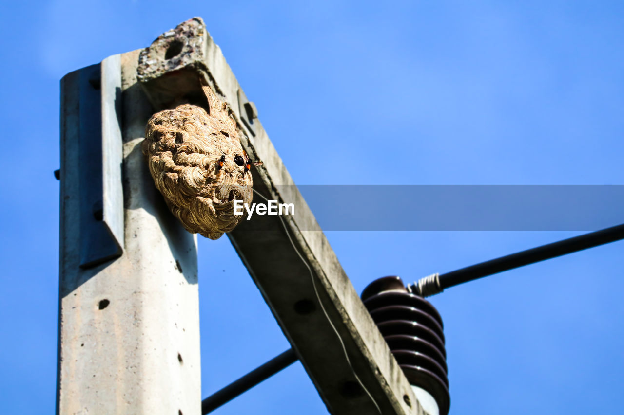 Low angle view of ropes on pole against clear blue sky