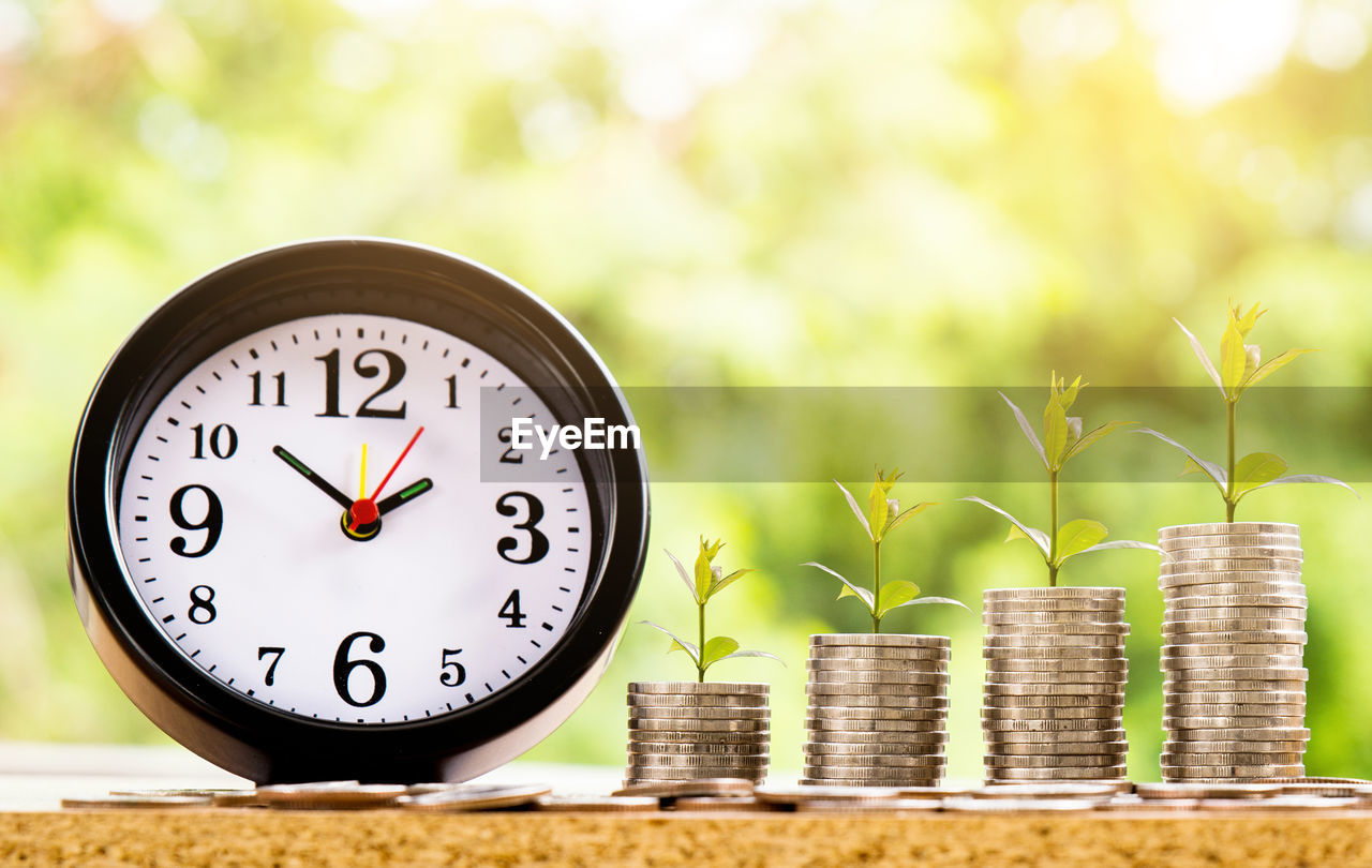 CLOSE-UP OF CLOCK ON PLANT